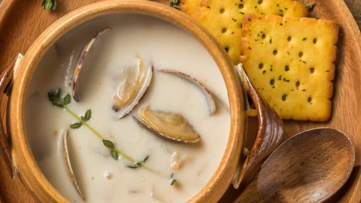 Is It Okay to Eat Clam Chowder During Pregnancy?