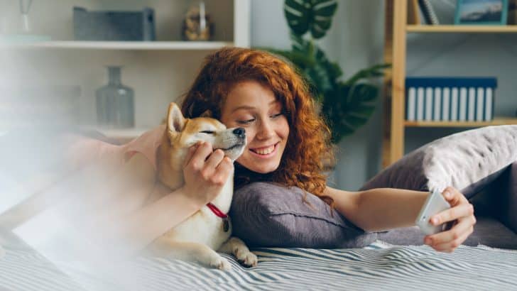 7 Habits Responsible Dog Owners Have And Stick By