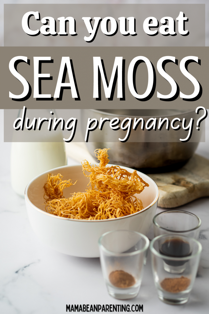 sea moss during pregnancy