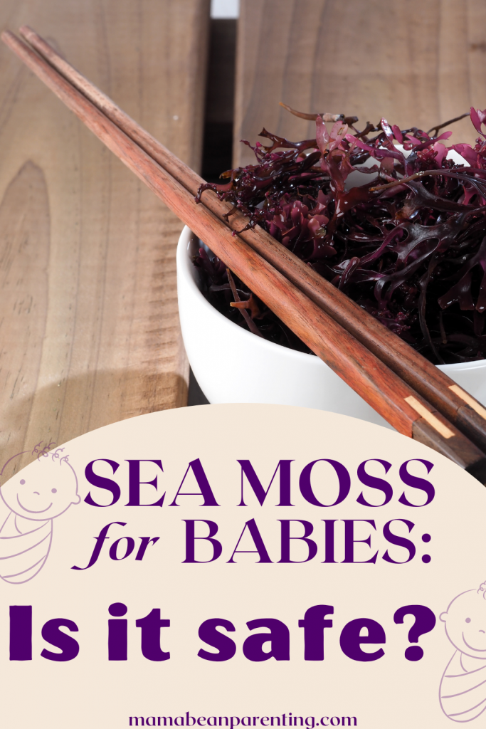 seam moss for babies