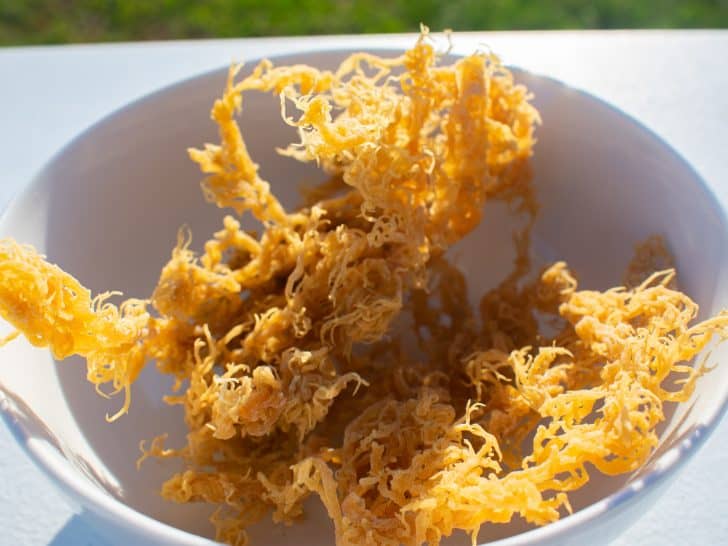 Can You Eat Sea Moss During Pregnancy?