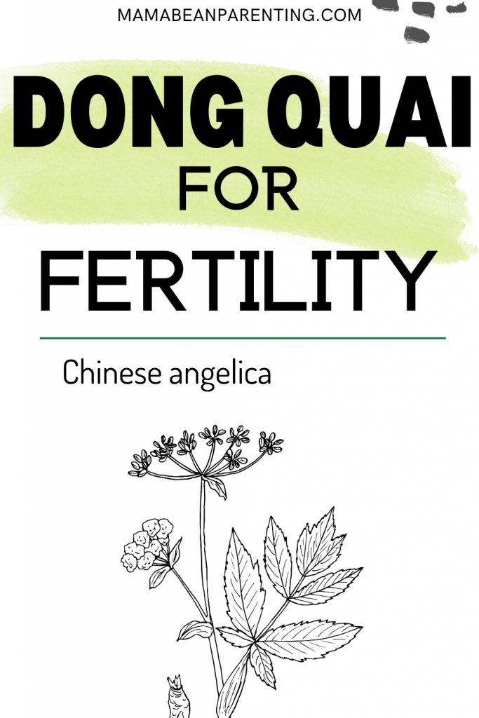 dong quai for fertility