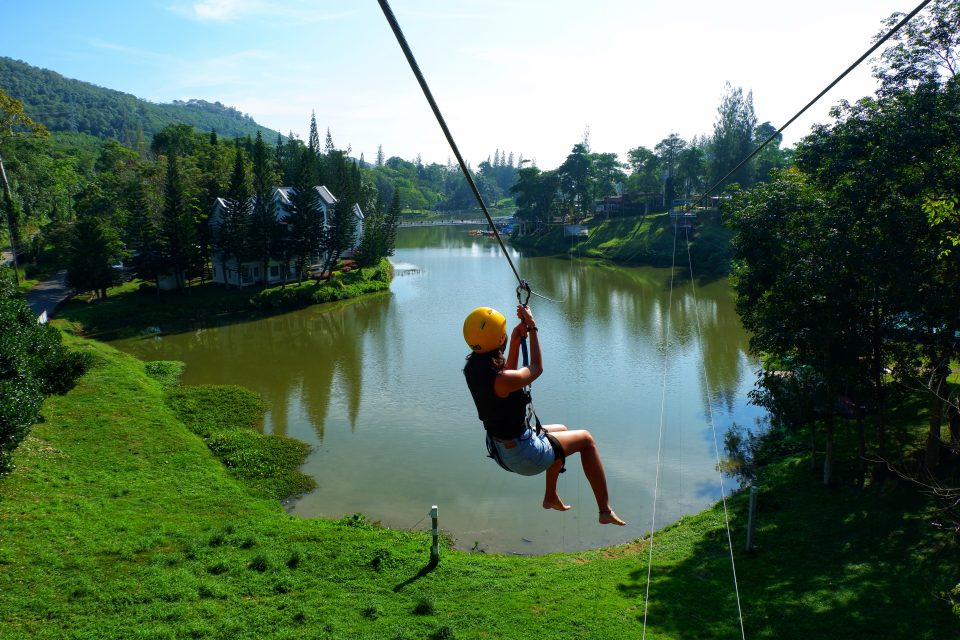 Pregnancy • Mama Bean Parenting