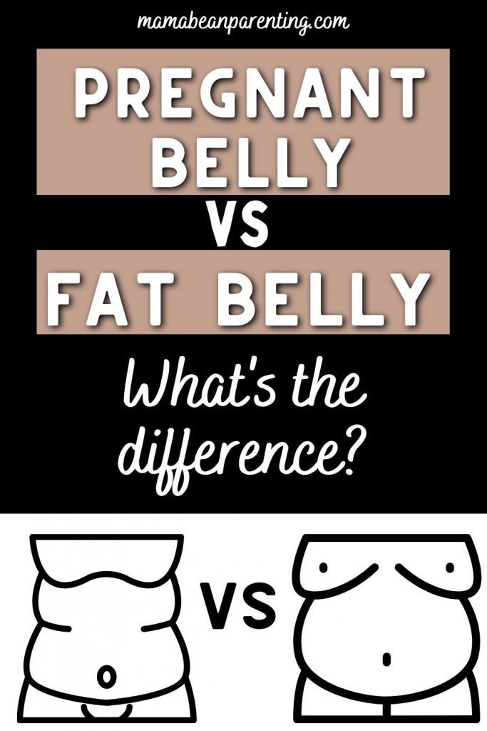 Pregnant Belly vs Fat Belly
