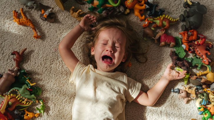 Toddler Tantrums and 10 Ways to Handle Them