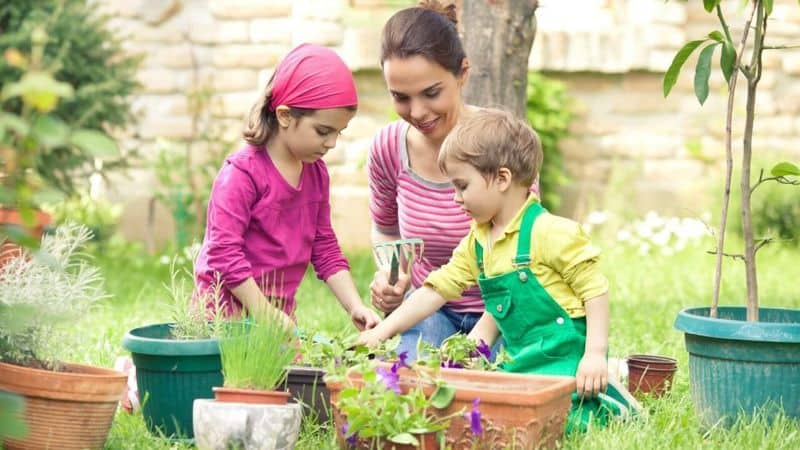 Gardening Together