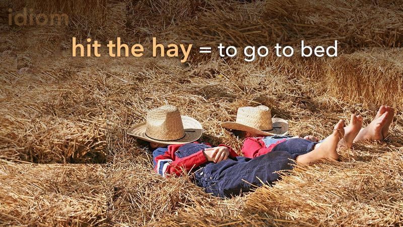 Hit the hay