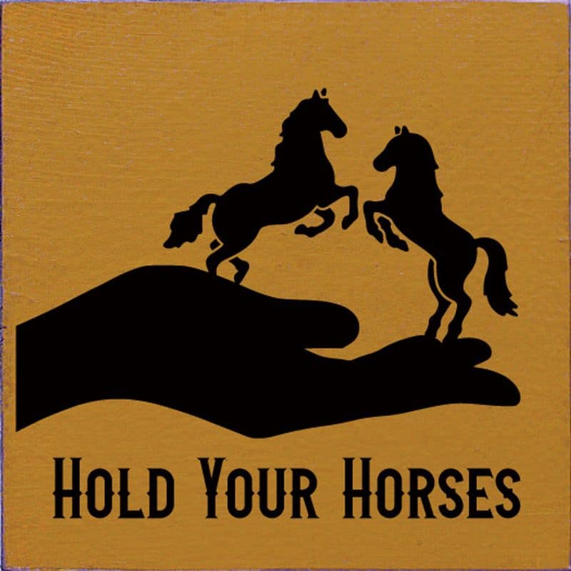 Hold your horses