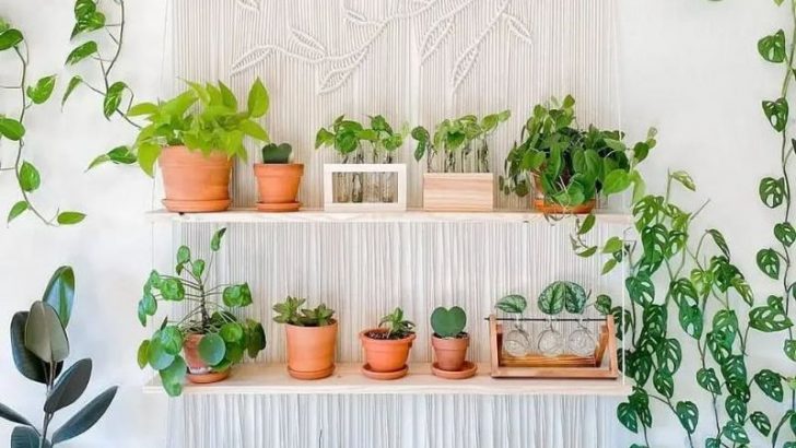 9 Common Houseplants That You Shouldn’t Have In Your Home