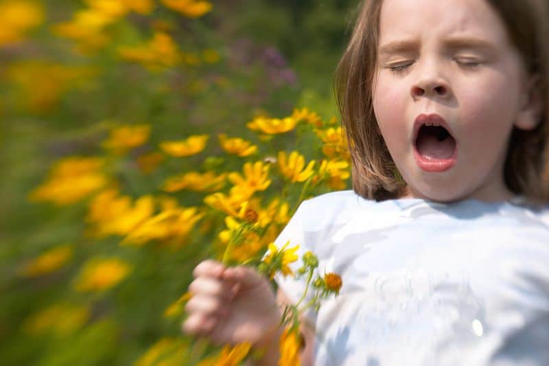 Overlooking Allergies