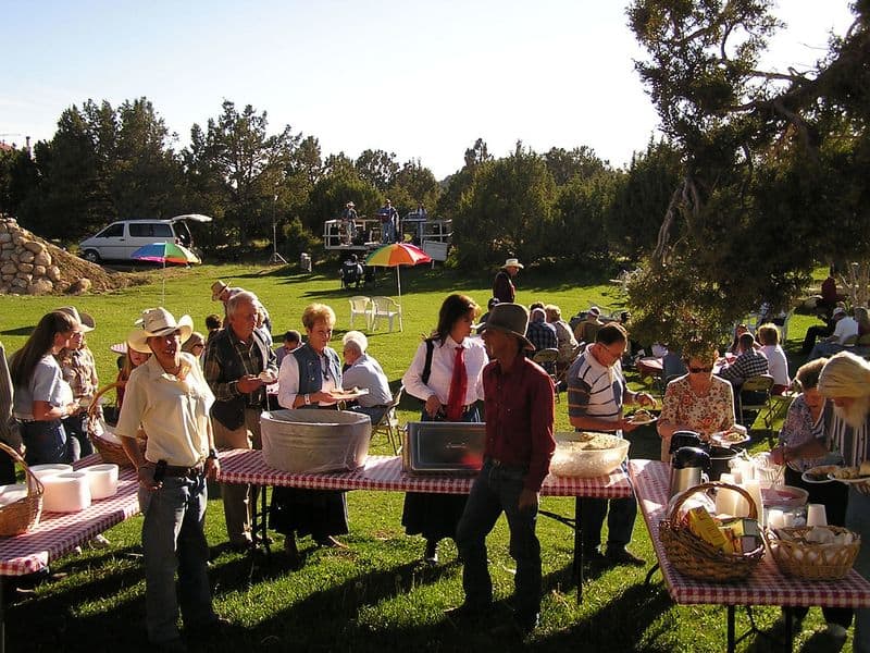 Picnics and Outdoor Gatherings