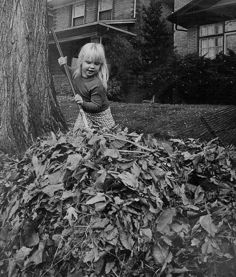 Raking Leaves