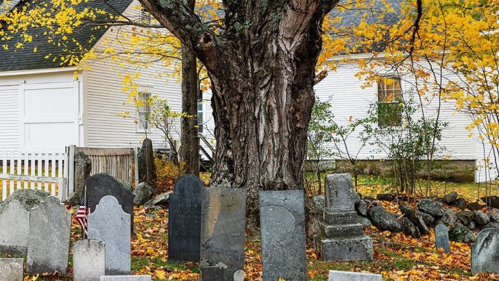 6 Things No One Tells You About Having a Cemetery Next Door