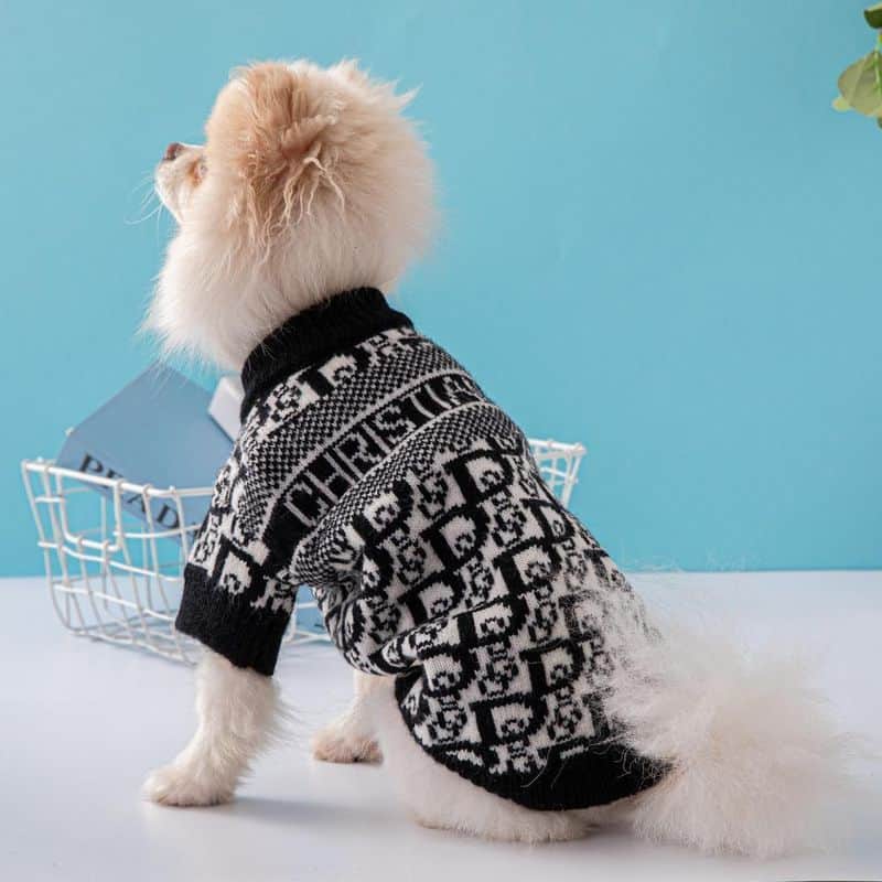 Designer Pet Clothes