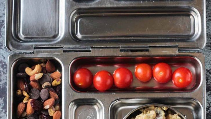 9 Healthy Lunchbox Meal Ideas That Guarantee Empty Containers