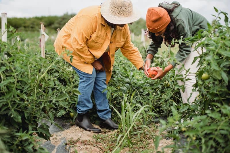 Gardening