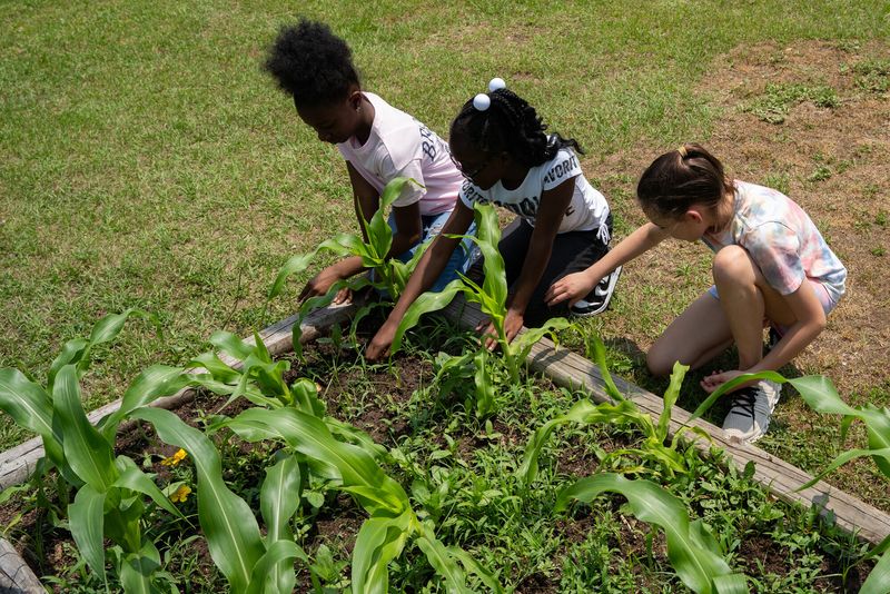 Gardening Skills