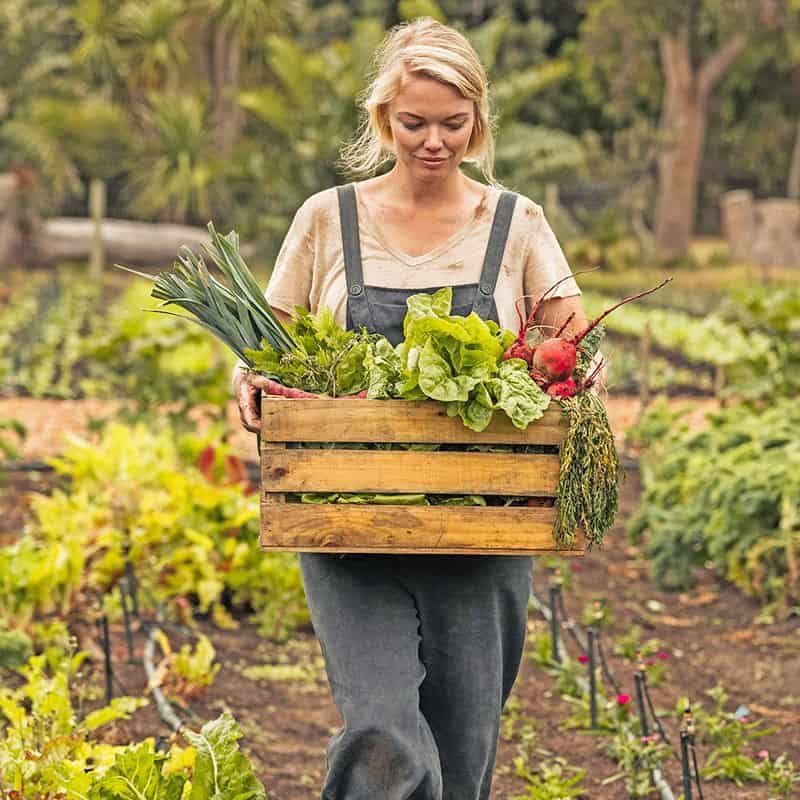 Gardening and Harvesting