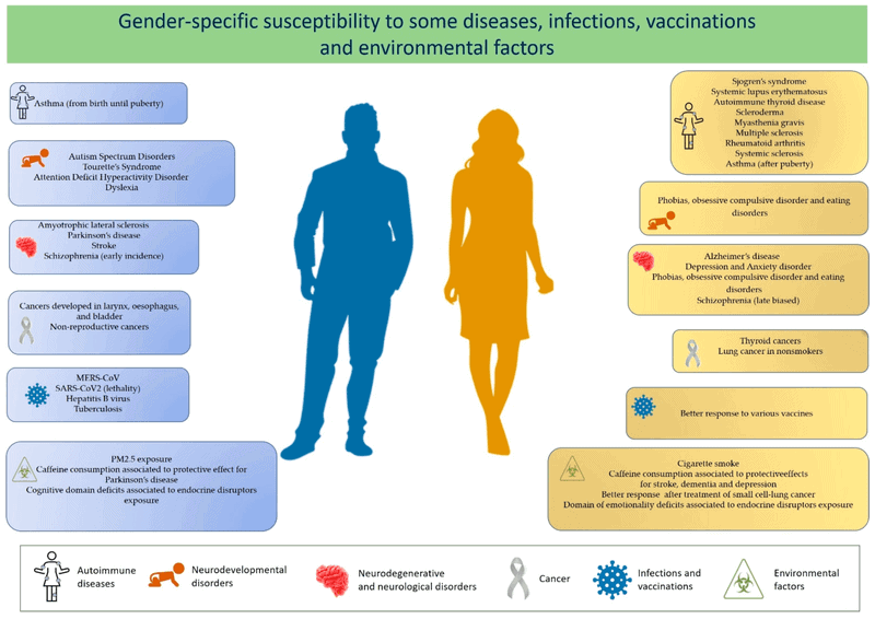 Gender-Specific Roles