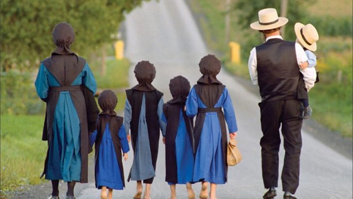 13 Unexpected Things You’ll Discover Living in an Amish House