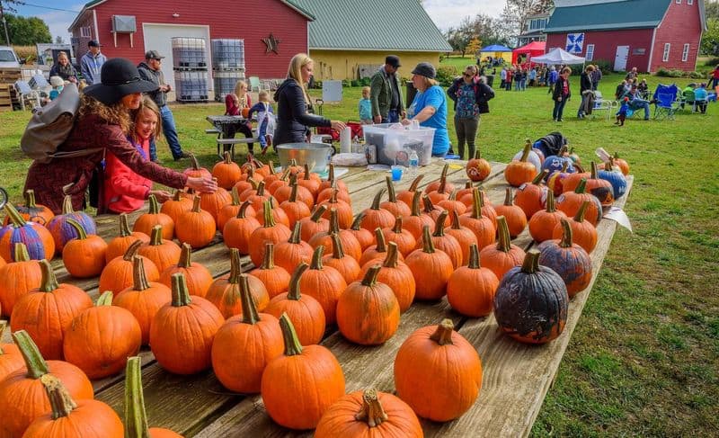 Harvest Festivals