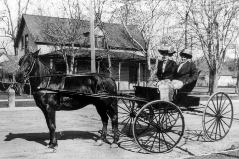 Horse-Drawn Buggies