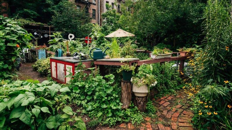 Join a Community Garden