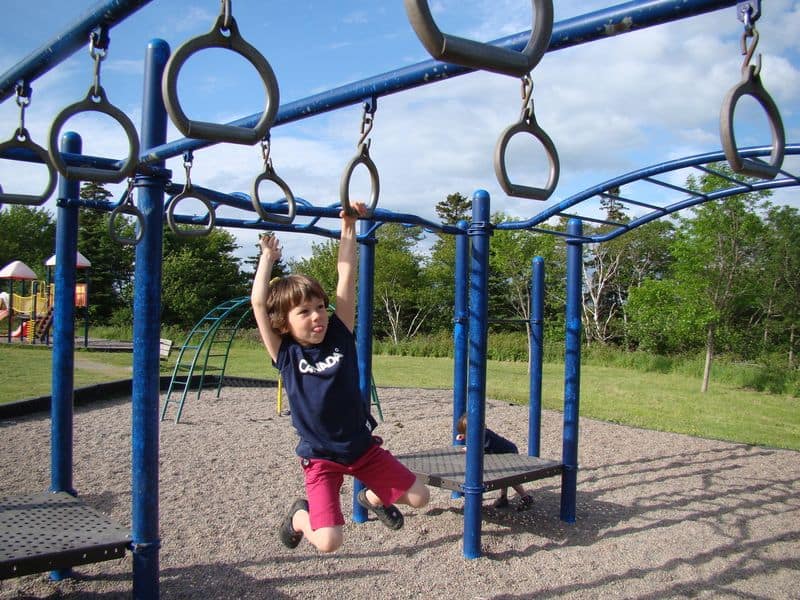 Jungle Gym Adventures