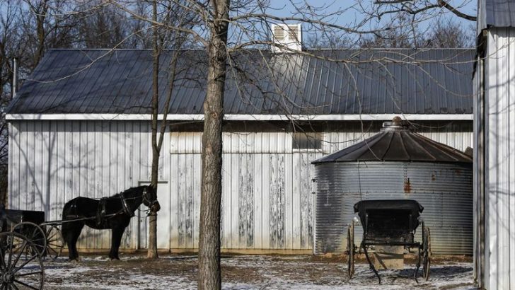 8 Amish Survival Essentials That Modern Life Could Learn From