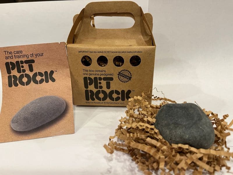 Pet Rocks