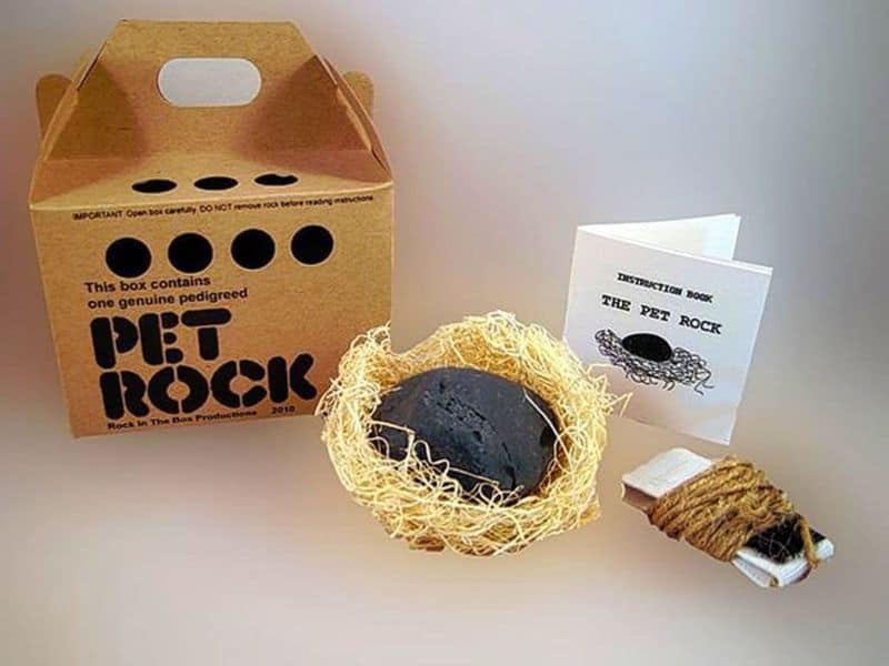 Pet Rocks