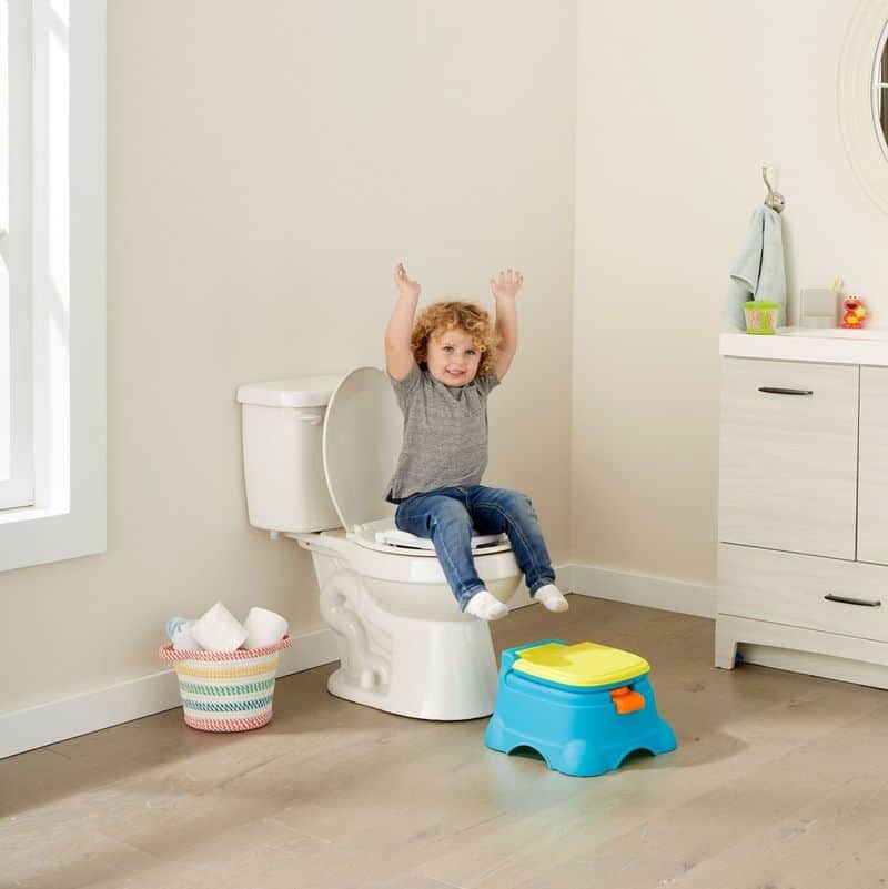 Potty Training Hurdles