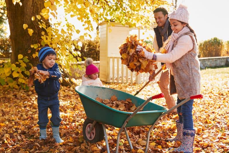 Raking Leaves