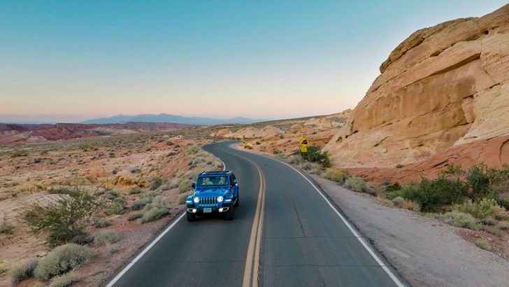 11 Uniquely American Roadside Attractions That Still Surprise Us
