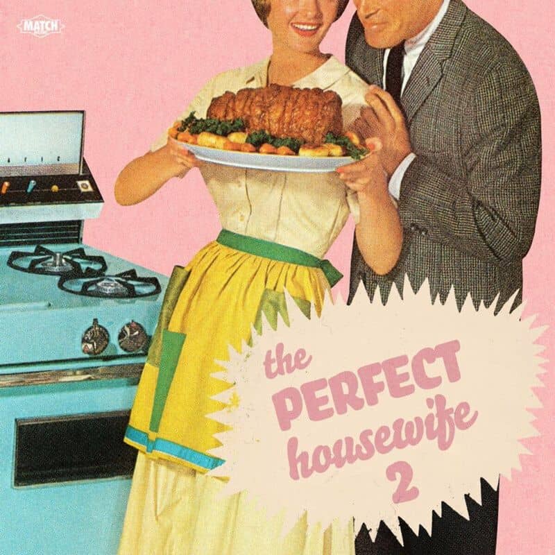 The Perfect Housewife