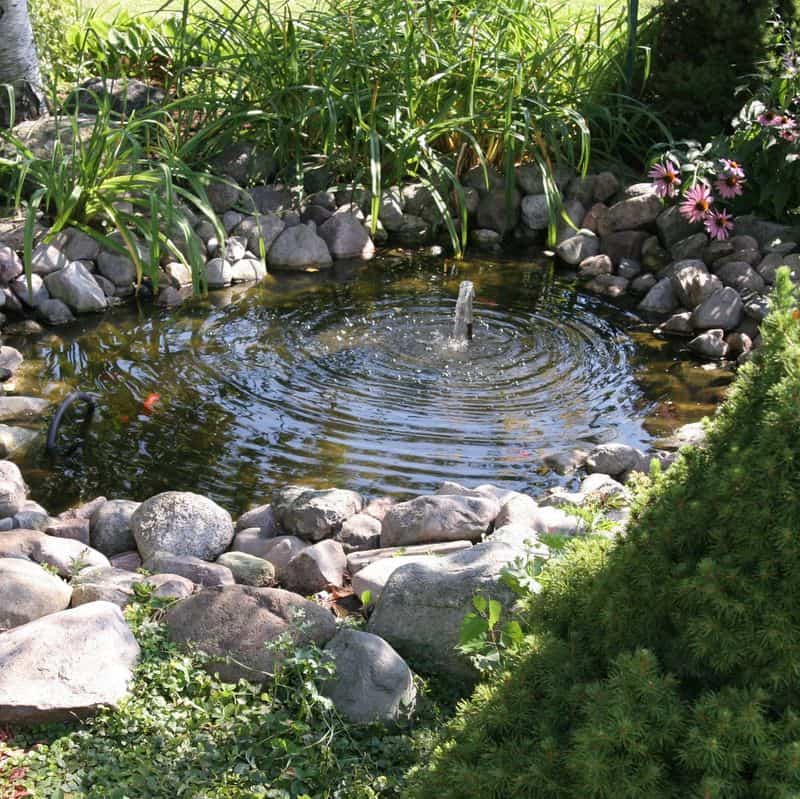 Water Features