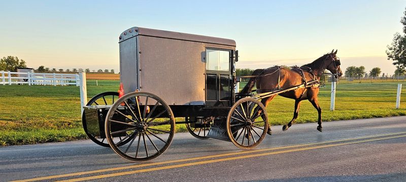 Amish Transportation