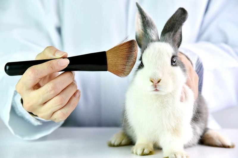 Animal Testing for Cosmetics