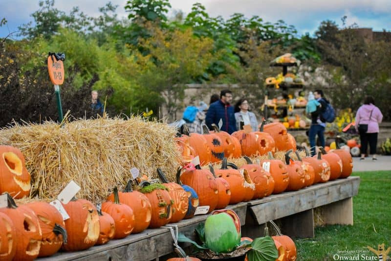 Annual Pumpkin Festival