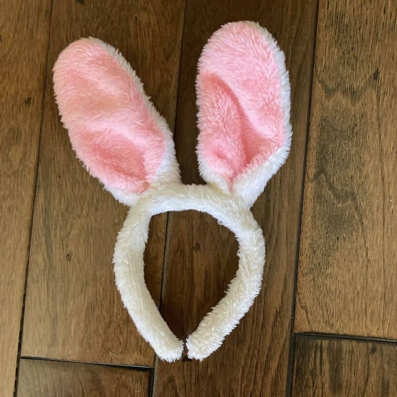 Bunny Ears Headband