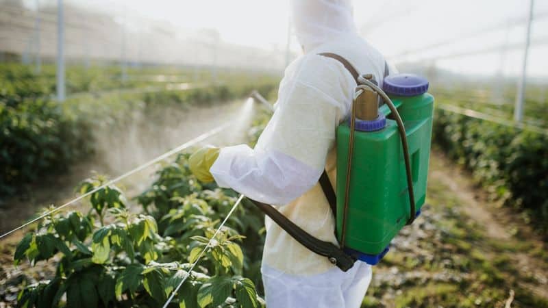 Certain Pesticides