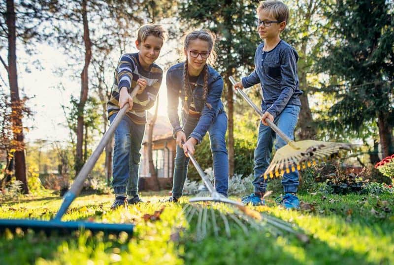 Chores as Lessons