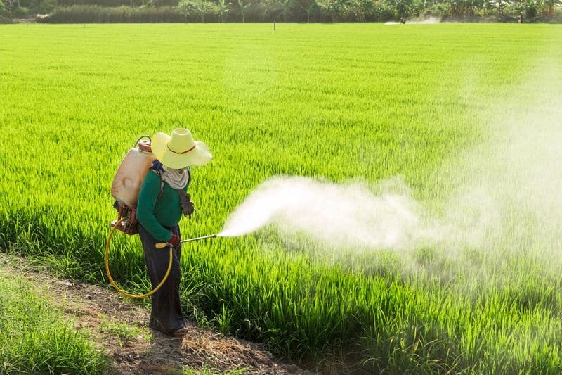 DDT Pesticide Use