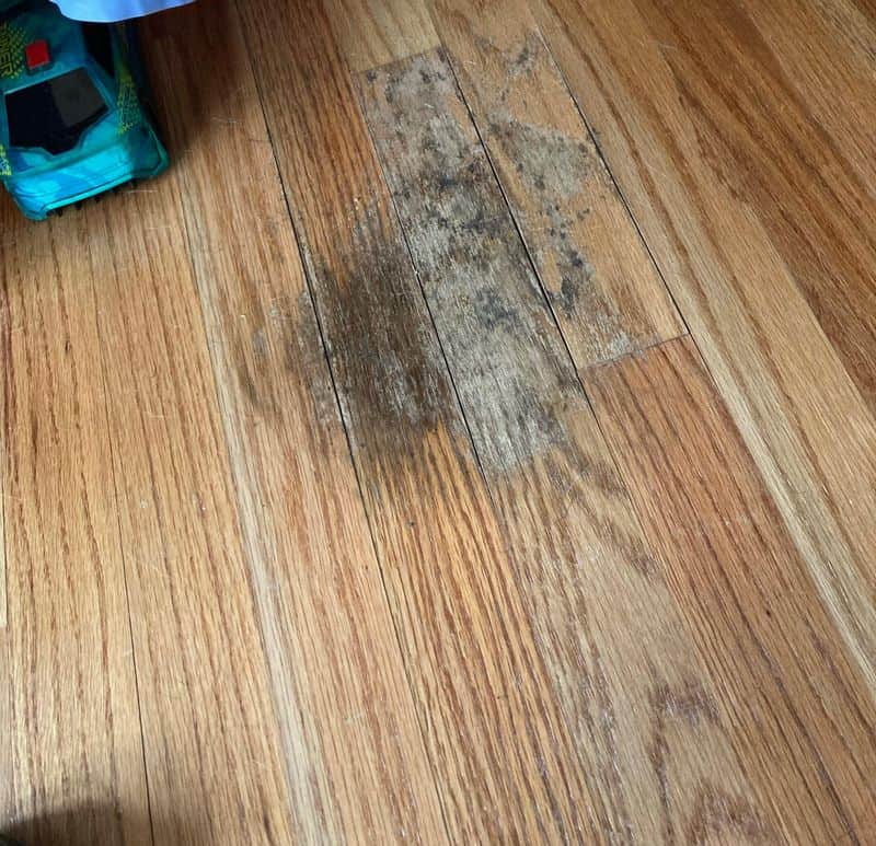 Damaged Floors