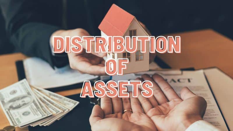 Distribution of Assets