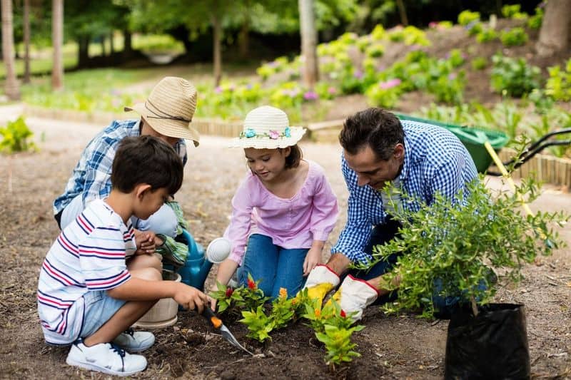 Gardening