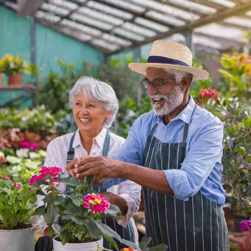 Gardening for Joy