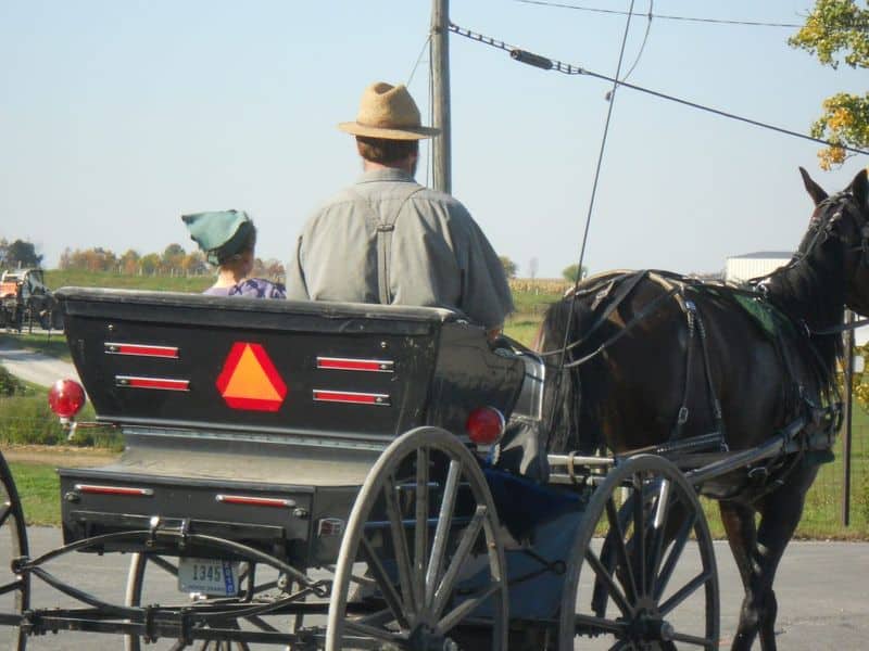 Horse and Buggy Travel