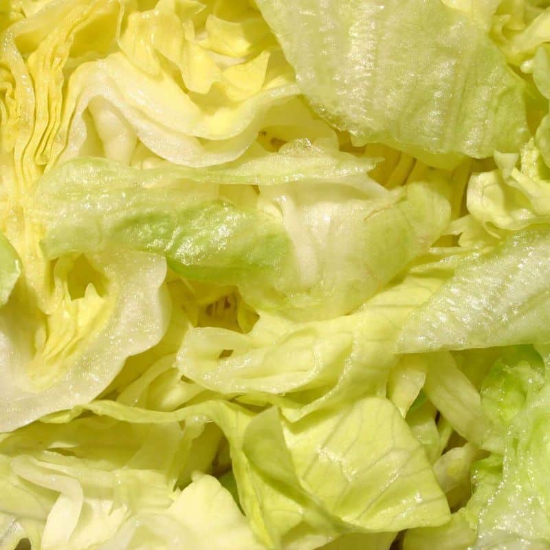 Iceberg Lettuce