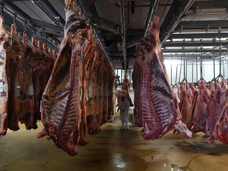 Meat from Factory Farms